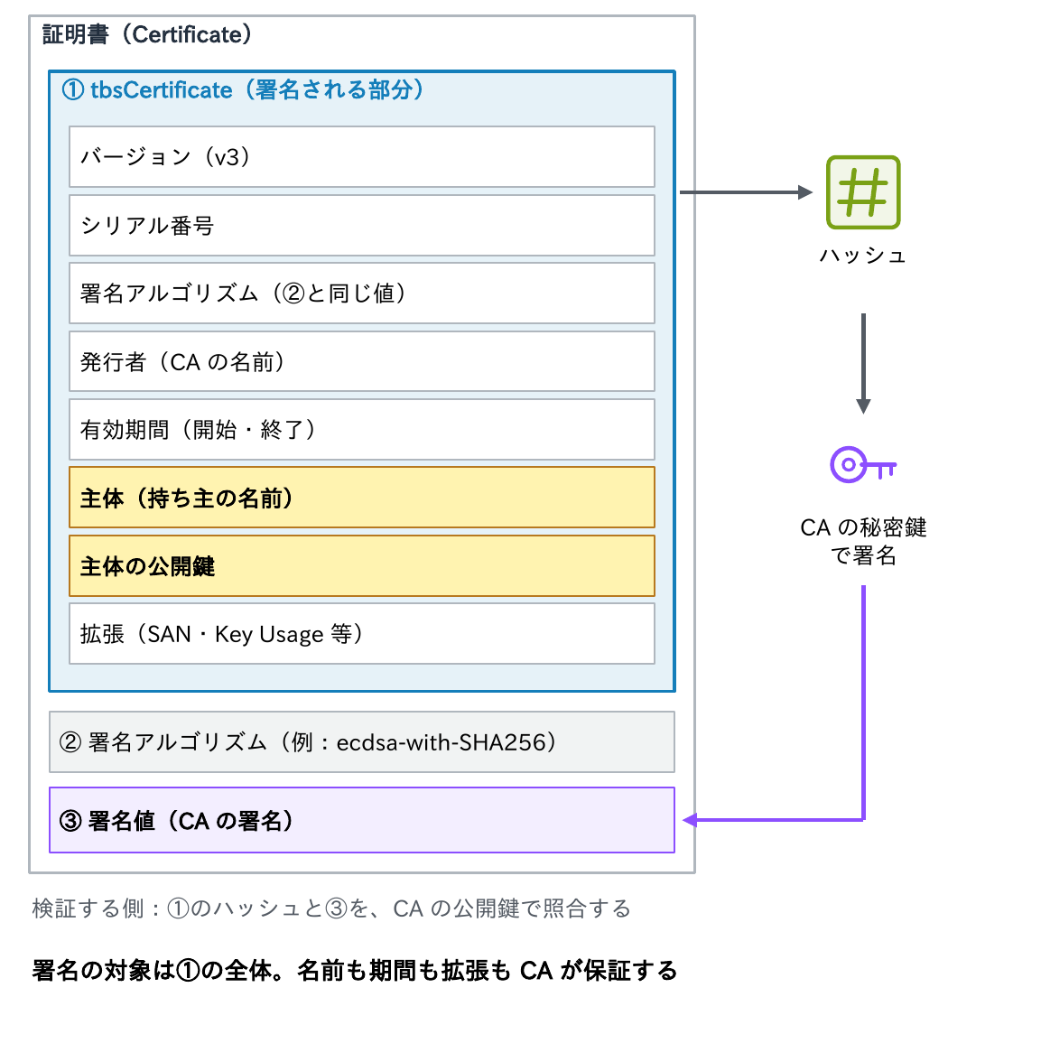 証明書がtbsCertificate(バージョン・シリアル番号・署名アルゴリズム・発行者・有効期間・主体・主体の公開鍵・拡張)、署名アルゴリズム、署名値の3つの部分からなり、CAがtbsCertificateのハッシュを秘密鍵で署名し、検証する側がCAの公開鍵で照合することを示す図