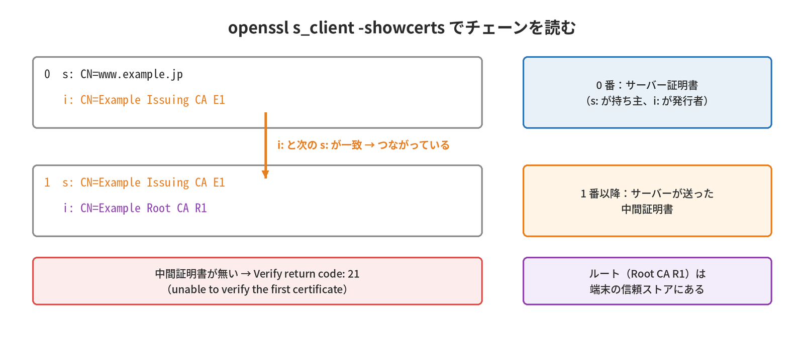 s_client -showcertsの出力で、0番のサーバー証明書のi:(発行者)が1番の中間証明書のs:(主体)と一致すればつながっていること、ルートは端末の信頼ストアにあること、中間証明書が無いとVerify return code: 21になることを示す図