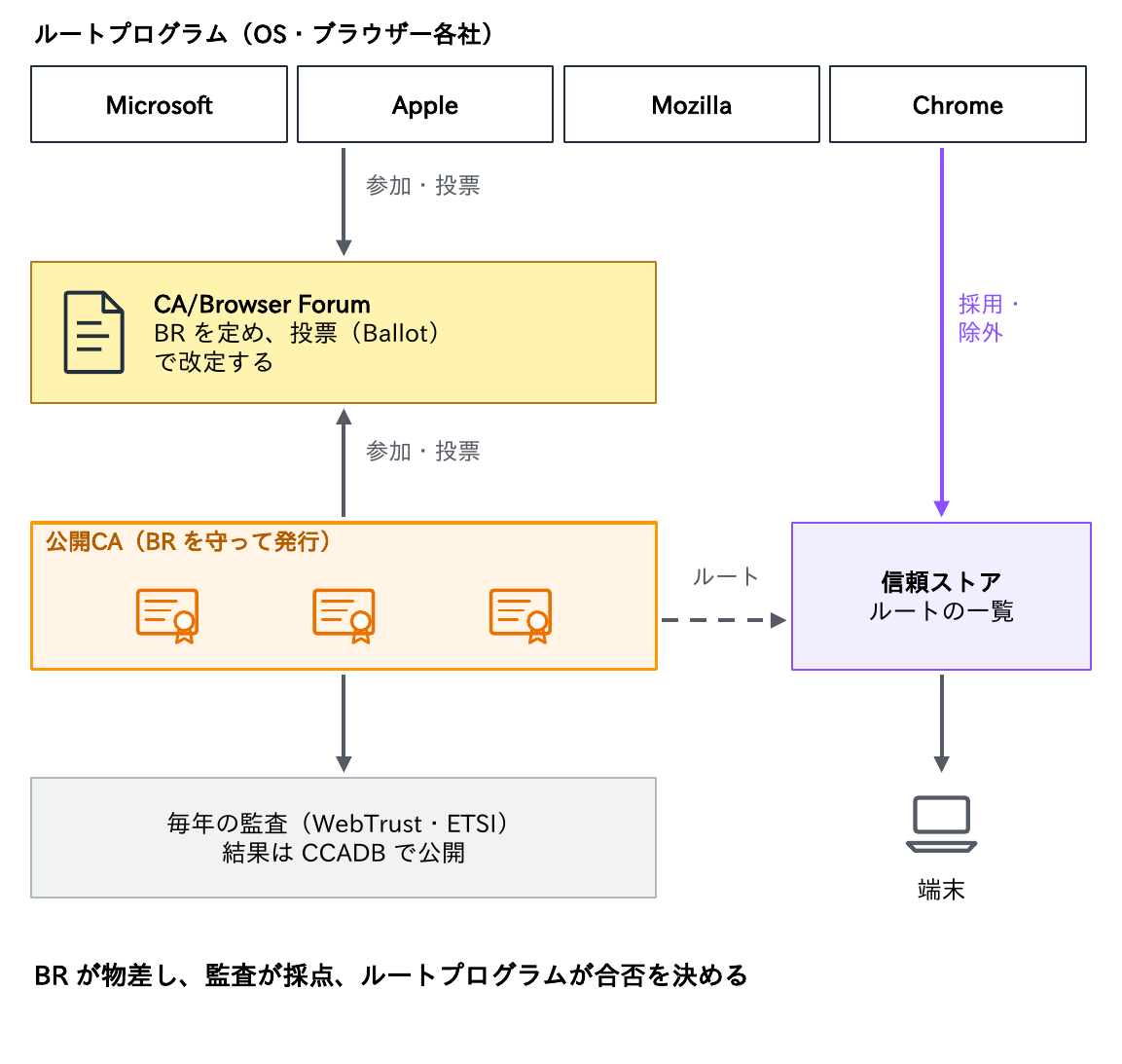 Microsoft・Apple・Mozilla・Chromeのルートプログラムと公開CAがCA/Browser Forumに参加・投票してBRを定め、公開CAは毎年WebTrust・ETSIの監査を受けて結果をCCADBで公開し、ルートプログラムが信頼ストアへの採用・除外を決めることを示す図