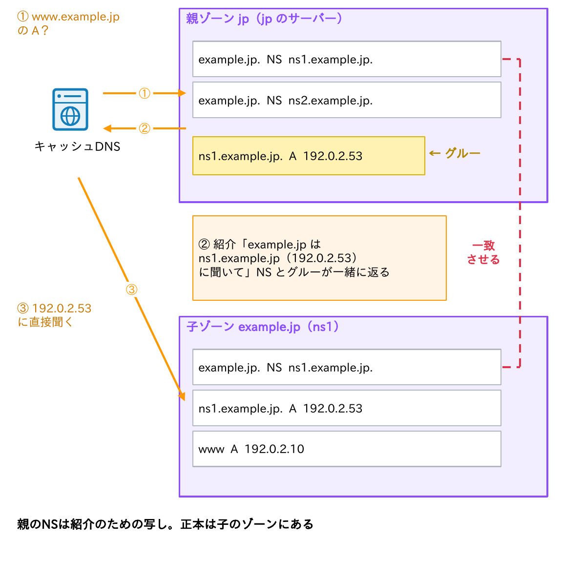 親ゾーンjpにexample.jpのNSとグルー(ns1のAレコード)があり、キャッシュDNSが紹介とグルーを受け取って192.0.2.53に直接聞く流れを示す図