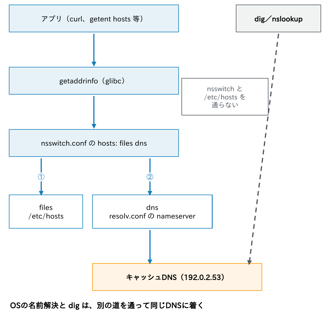 アプリがgetaddrinfoからnsswitch.confに従って/etc/hostsとresolv.confのnameserverを順に使う経路と、dig・nslookupがそれを通らず直接キャッシュDNSに聞く経路を示す図