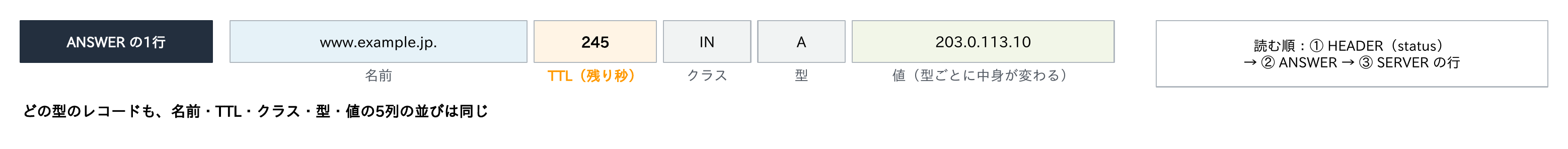 digのANSWERの1行が名前・TTL（残り秒）・クラス・型・値の5列からなることと、読む順が①HEADER（status）②ANSWER③SERVERの行であることを示す図