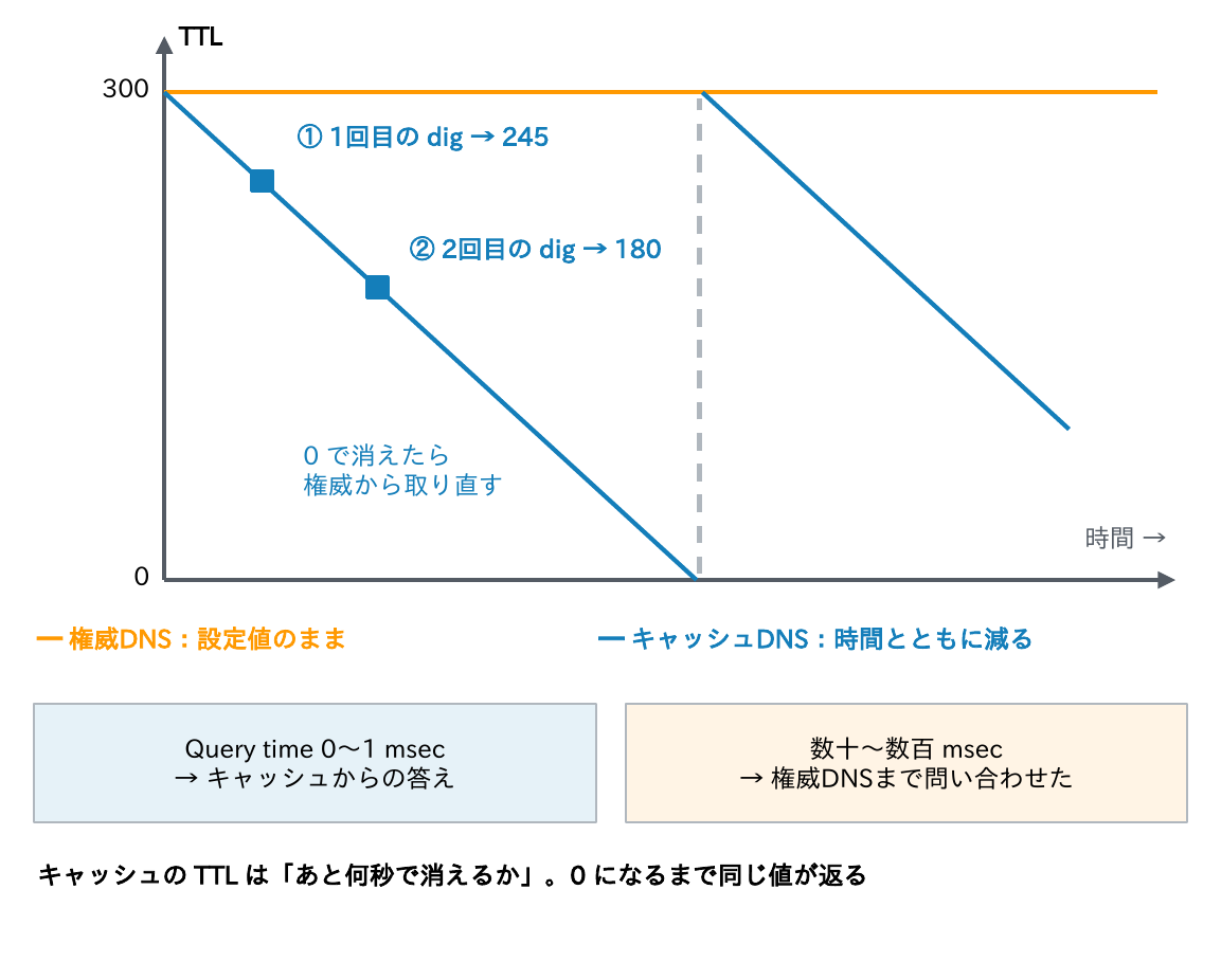 権威DNSのTTLは設定値の300のまま、キャッシュDNSのTTLは時間とともに減り0で消えたら権威から取り直すことと、Query timeが0〜1 msecならキャッシュ、数十〜数百msecなら権威まで問い合わせたことを示す図