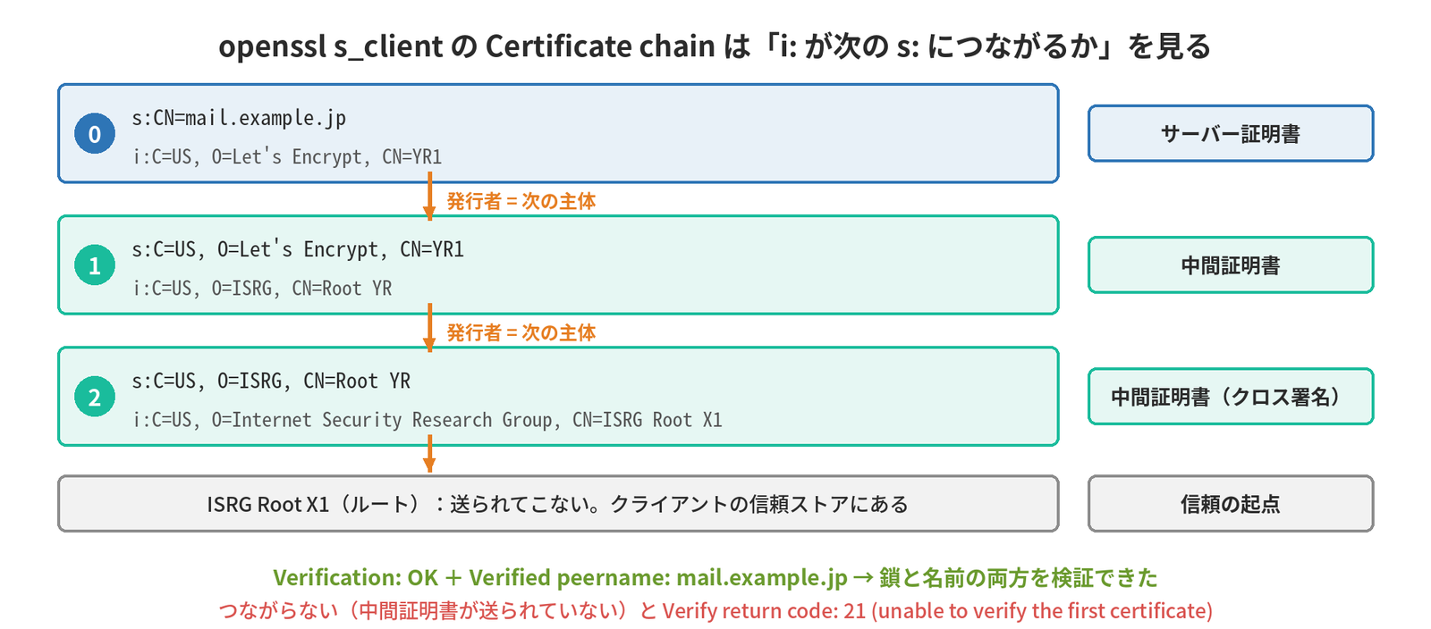 openssl s_clientのCertificate chainで、0のサーバー証明書の発行者i:が1の中間証明書の主体s:に、1の発行者が2の主体につながり、2の発行者のISRG Root X1はクライアントの信頼ストアにあることと、Verification: OKとVerified peernameが出れば鎖と名前の両方を検証でき、中間証明書が送られていないとVerify return code: 21になることを示す図