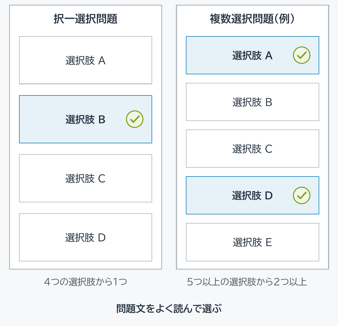 左に「択一選択問題」として、選択肢 A〜D の4つの箱が縦に並び、選択肢 B にチェックの印が付いている。その下に「4つの選択肢から1つ」。右に「複数選択問題(例)」として、選択肢 A〜E の5つの箱が縦に並び、選択肢 A と選択肢 D にチェックの印が付いている。その下に「5つ以上の選択肢から2つ以上」。最下部に太字で「問題文をよく読んで選ぶ」